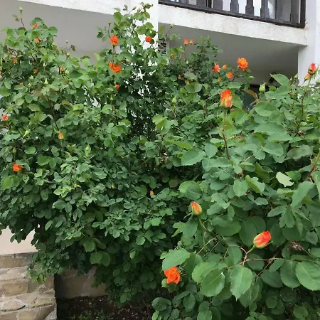 Lägenhet Kambani Nadezhda *